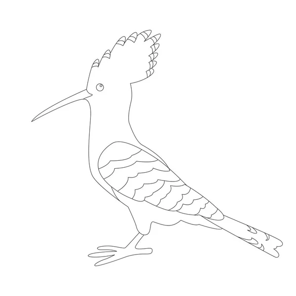 Hoopoe 鸟向量例证衬里画 — 图库矢量图片