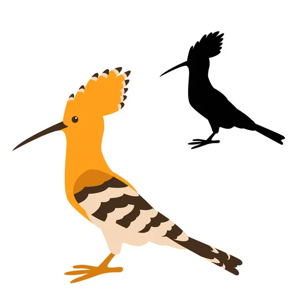 Upupa uccello vettore illustrazione stile piatto — Vettoriale Stock