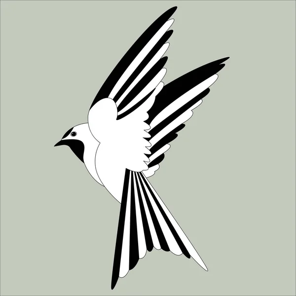 Bird swallow  vector illustration   flat style  profile — Stock Vector