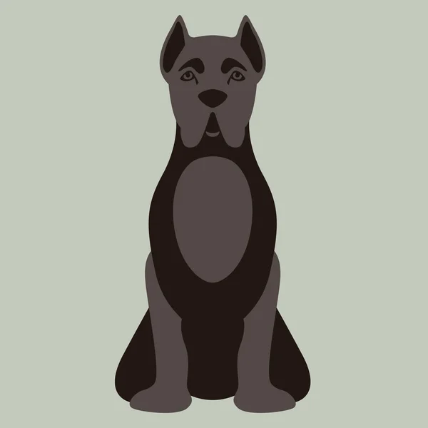 Вектор корсо собаки иллюстрация плоский стиль фронт — стоковый вектор