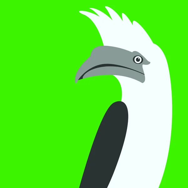 ホワイト - クレステッド サイチョウ鳥ベクトル図 — ストックベクタ