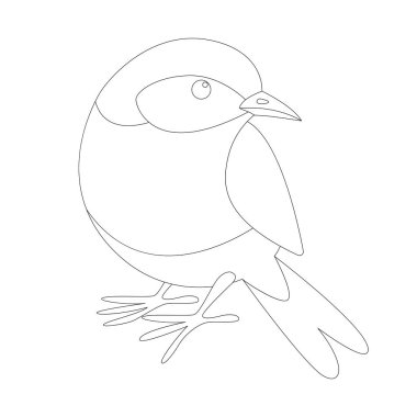 Doğu mavi kuş, astar çizmek, ön 