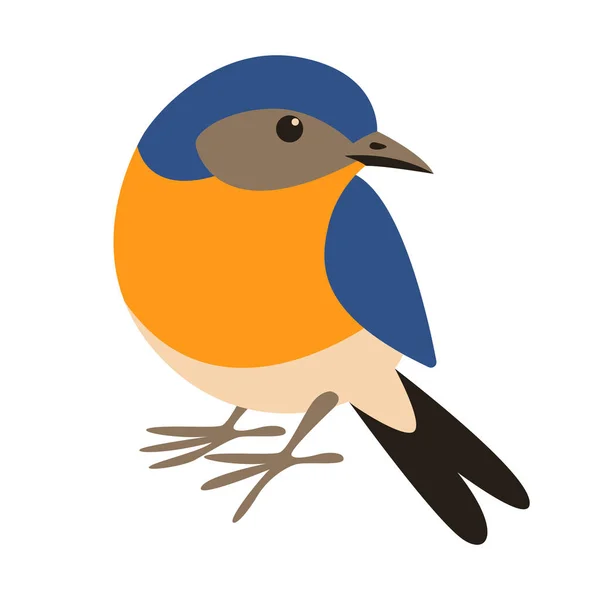 Oost bluebird, vlakke stijl, voorzijde — Stockvector