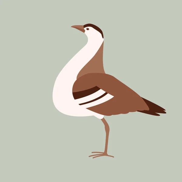 Bustard bird, illustrazione vettoriale stilizzata , — Vettoriale Stock