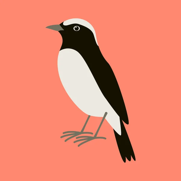 Uccello di grano arabo, illustrazione vettoriale  , — Vettoriale Stock