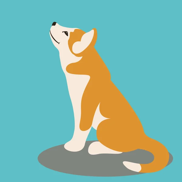 Pes štěně husky, vektorové ilustrace, ploché styl, — Stockový vektor
