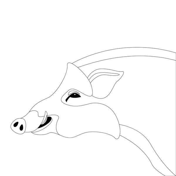 Cartoon wild boar, vector illustration,   lining draw , — Stock Vector