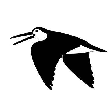 woodcock in flight , vector illustration , black - white  clipart
