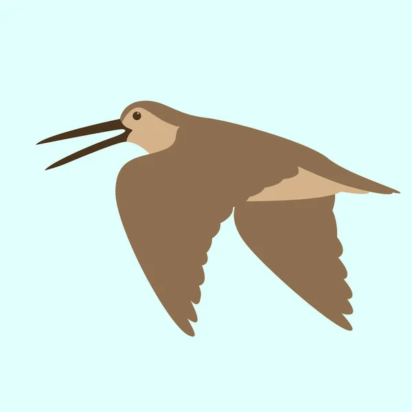 Woodcock in flight, vector illustration, flat — стоковый вектор