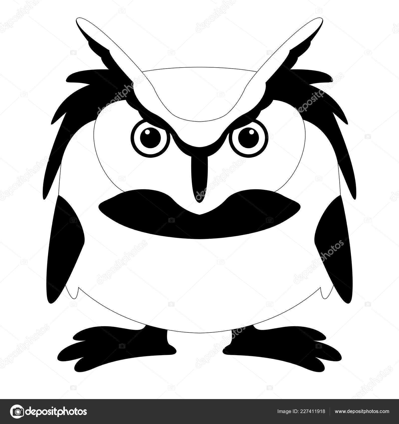 Drawings Draw A Cartoon Owl Cartoon Owl Vector Illustration
