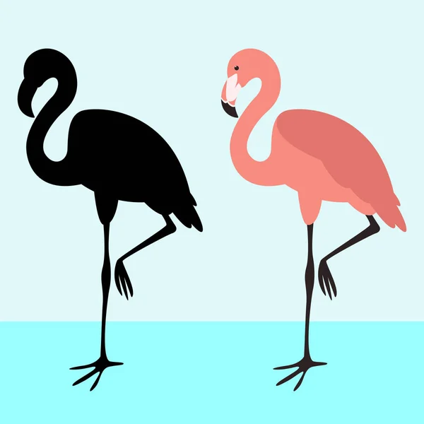 Flamingo ptak, czarna sylwetka, płaski — Wektor stockowy