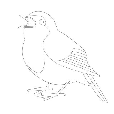 Robin kuş, vektör çizim, astar 