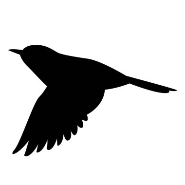  uçan sinekkapan, vektör çizim , 