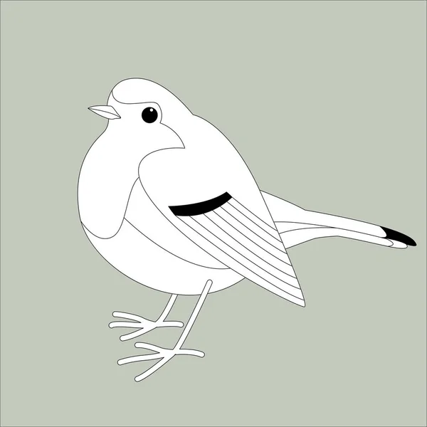 Robin kuş, vektör çizim, astar — Stok Vektör