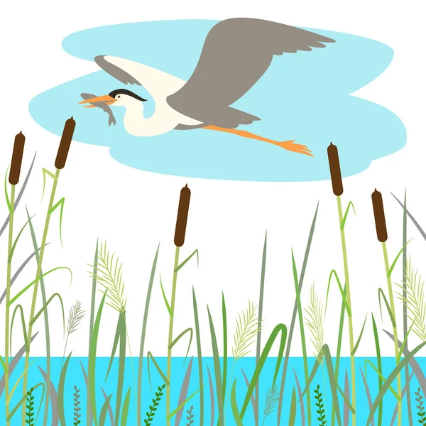 Blue heron flyger, vektorillustration, platt stil — Stock vektor