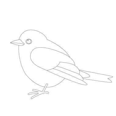 Robin kuş, vektör çizim, çizim, profil astar 