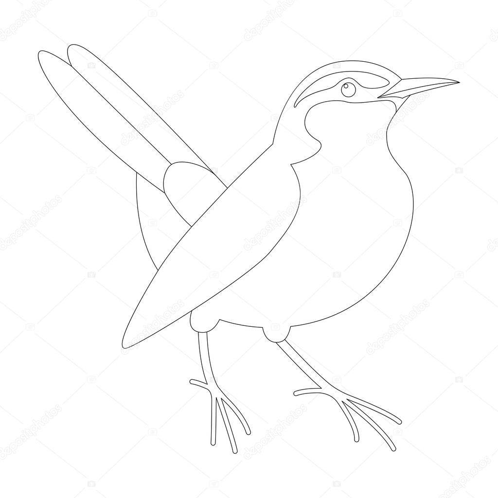 Robin  bird , vector illustration ,  lining draw ,profile view
