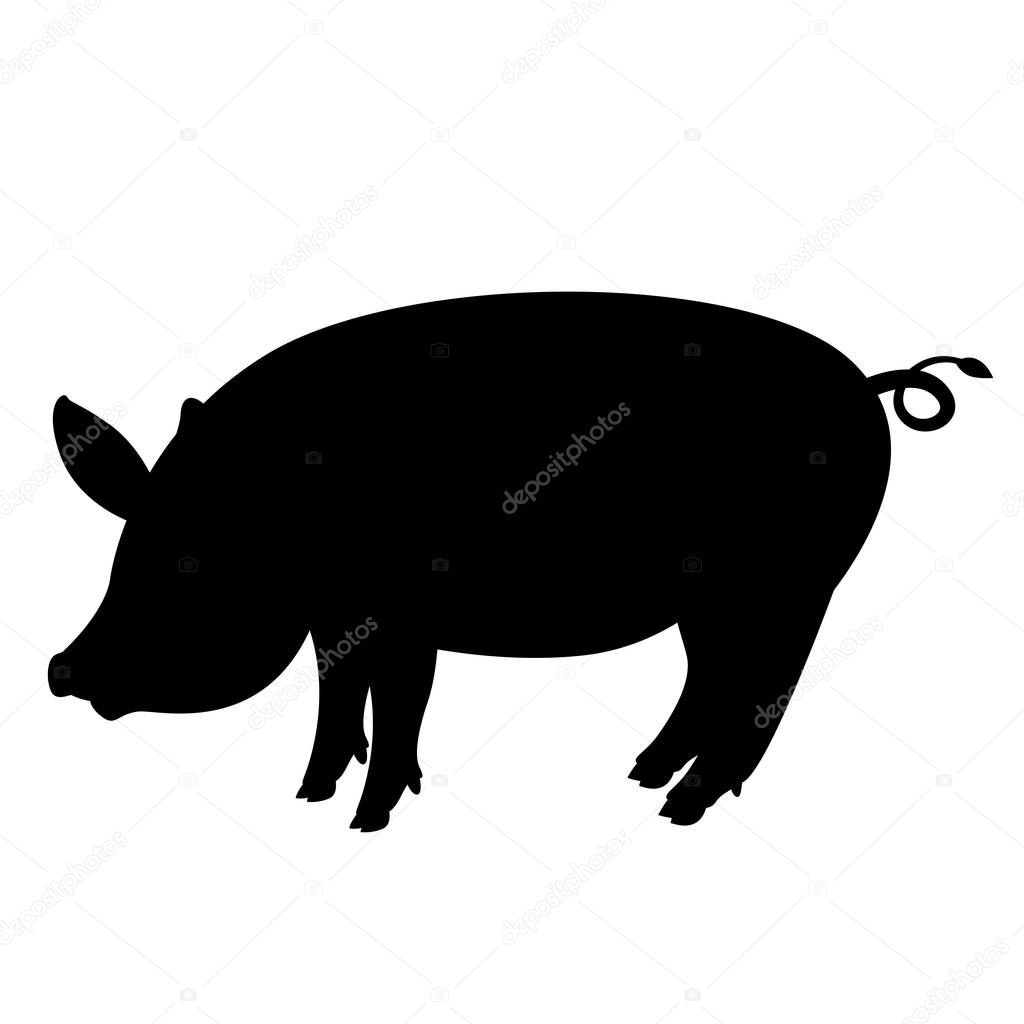 pig  vector illustration , black silhouette ,profile