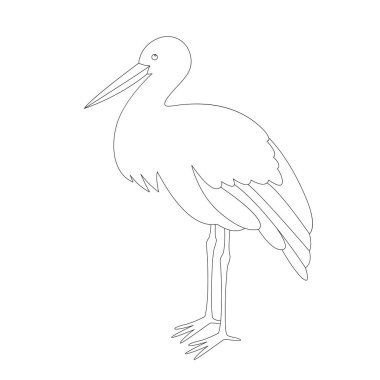 leylek stends, vektör çizim, çizim astar 