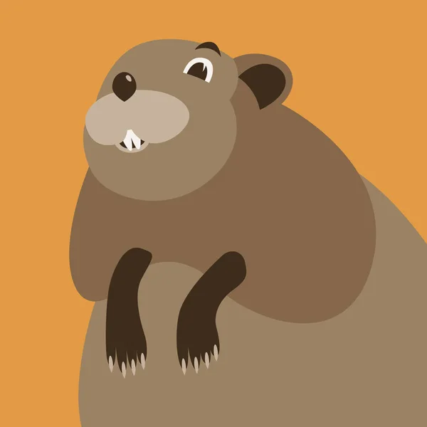 Cartoon muskusrat gezicht, vector afbeelding, flat — Stockvector