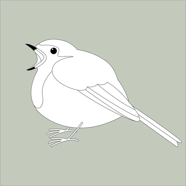 Pájaro robin, ilustración vectorial, dibujo de revestimiento — Archivo Imágenes Vectoriales