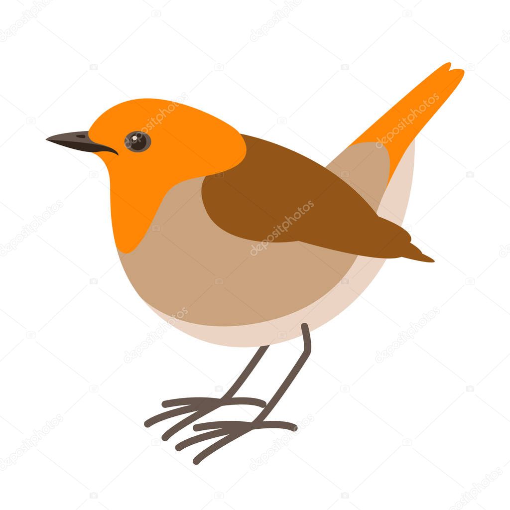 Robin bird ,vector illustration , flat style ,profile view