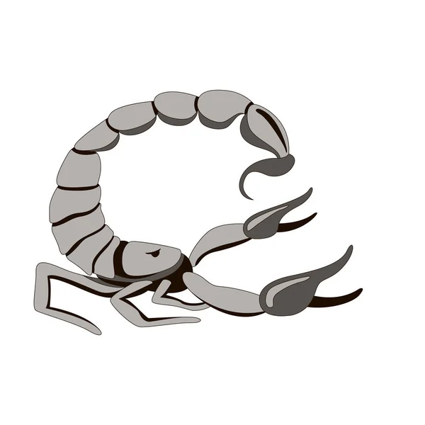Skorpion Vektor Illustration, flacher Stil, Profil — Stockvektor
