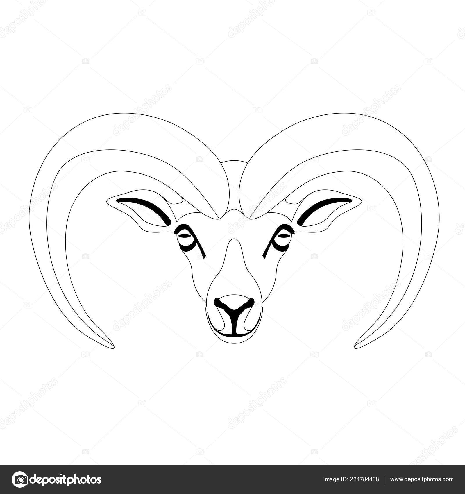 Horns Drawing Front View
