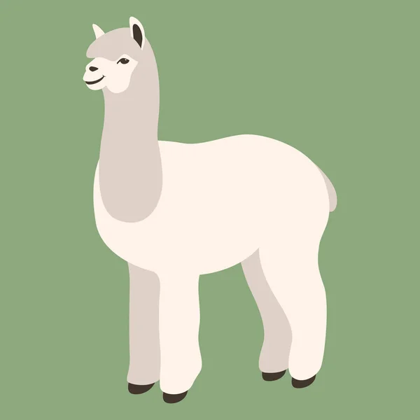 Lama vectorillustratie, vlakke stijl, profiel — Stockvector