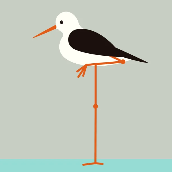 Sandpiper de pássaro, ilustração vetorial, estilo plano —  Vetores de Stock