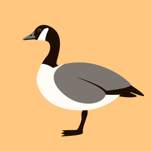 Canadese gans, vectorillustratie, vlakke stijl — Stockvector