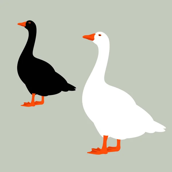 Goose  vector illustration ,   flat style  , profile — Stock Vector