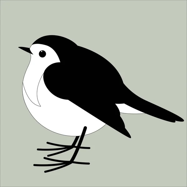 Птица малиновка, векторная иллюстрация, плоский стиль, профиль — стоковый вектор