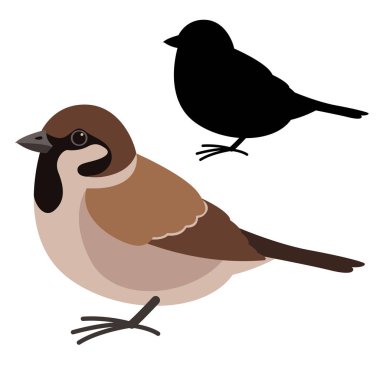 sparrow bird , vector illustration , flat style ,  silhouette clipart