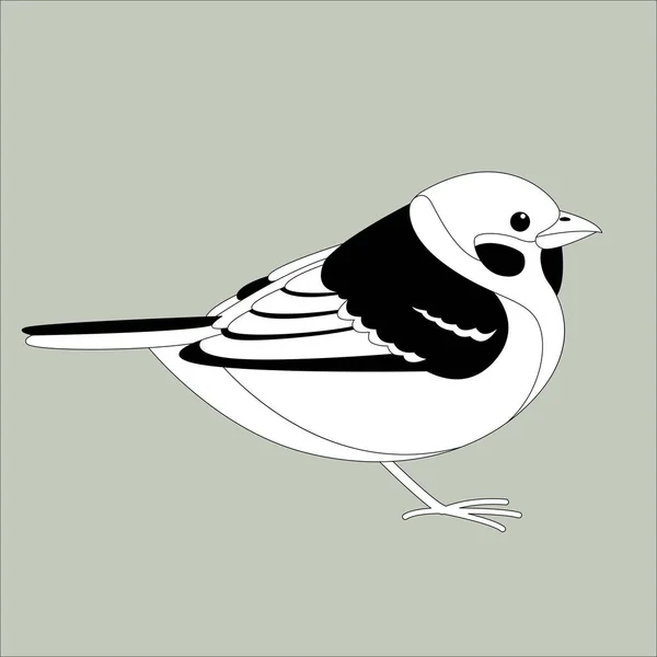 Serçe kuşu, vektör çizim, çizim, profil astar — Stok Vektör