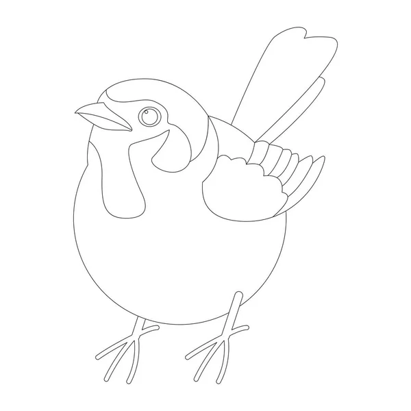 Pájaro gorrión, ilustración vectorial, dibujo del forro, frente — Vector de stock