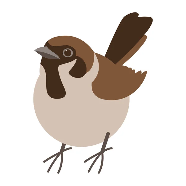 Sparrow fågel, vektorillustration, platt stil, främre — Stock vektor