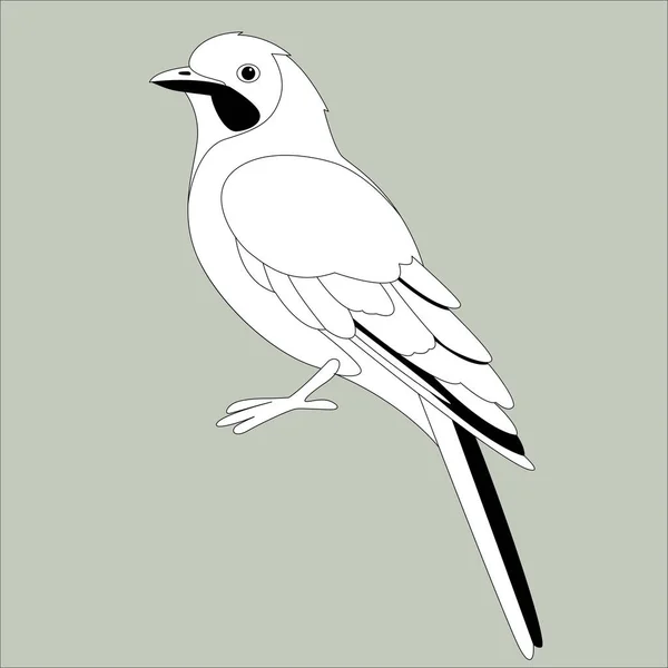 Jay bird, ilustración vectorial, dibujo de forro, perfil — Archivo Imágenes Vectoriales