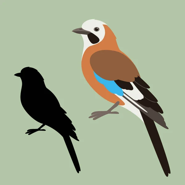 Oiseau geai, illustration vectorielle, style plat, silhouette — Image vectorielle