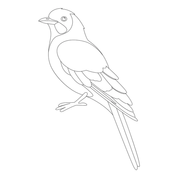 Oiseau geai, illustration vectorielle, dessin de doublure, profil — Image vectorielle