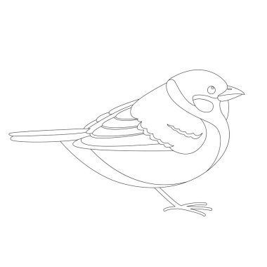 serçe kuşu, vektör çizim, çizim, profil astar 