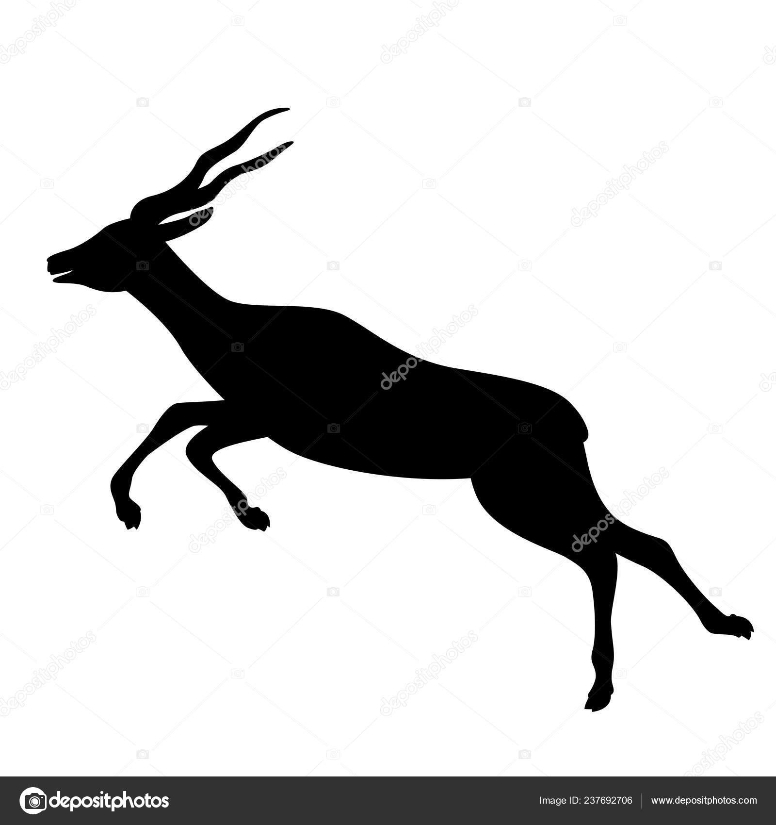 165 Cartoon Springbok Vectors Royalty Free Vector Cartoon Springbok Images Depositphotos