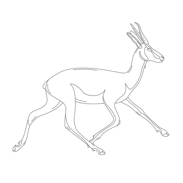 Lopende antilopen, vector illustratie, voering draw, profiel — Stockvector