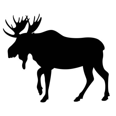 Moose, vektör çizim, profil siluet siyah 