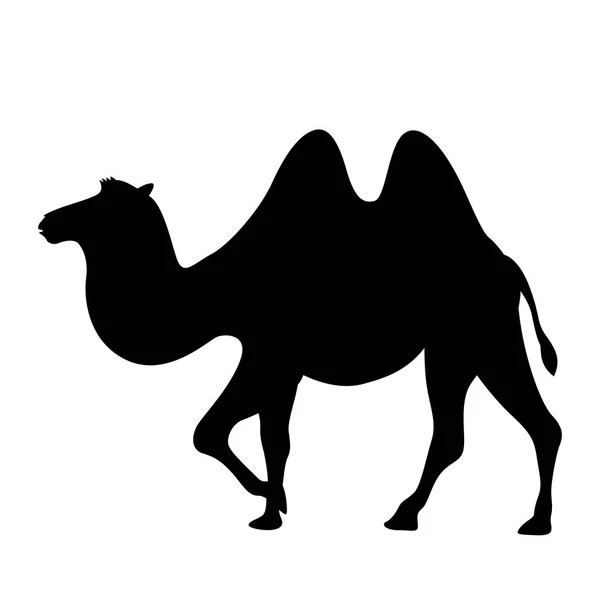 Cartoon camel  vector illustration ,  black silhouette, profile — Stock Vector