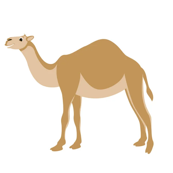 Cartoon camel, vectorillustratie, vlakke stijl, profiel — Stockvector