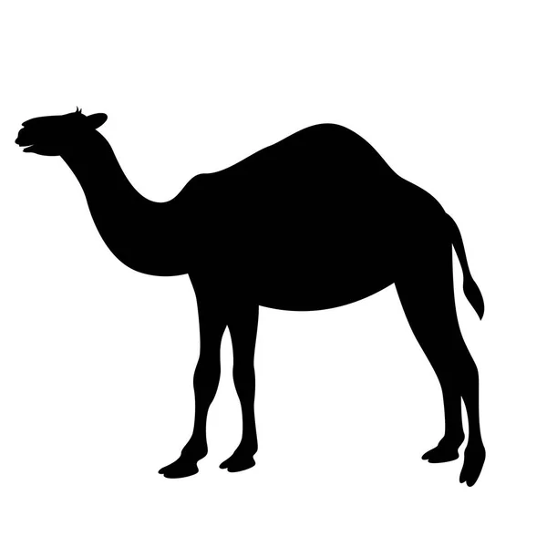 Kreskówka camel, ilustracji wektorowych, czarna sylwetka, profil — Wektor stockowy