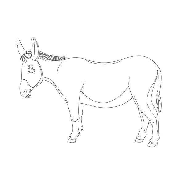 Burro de dibujos animados, ilustración vectorial, dibujo de revestimiento, perfil — Vector de stock