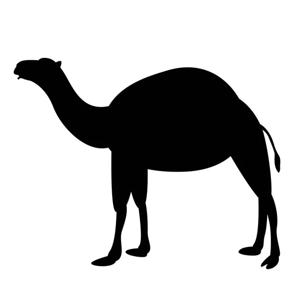 Верблюжья векторная иллюстрация, черный силуэт, профиль — стоковый вектор