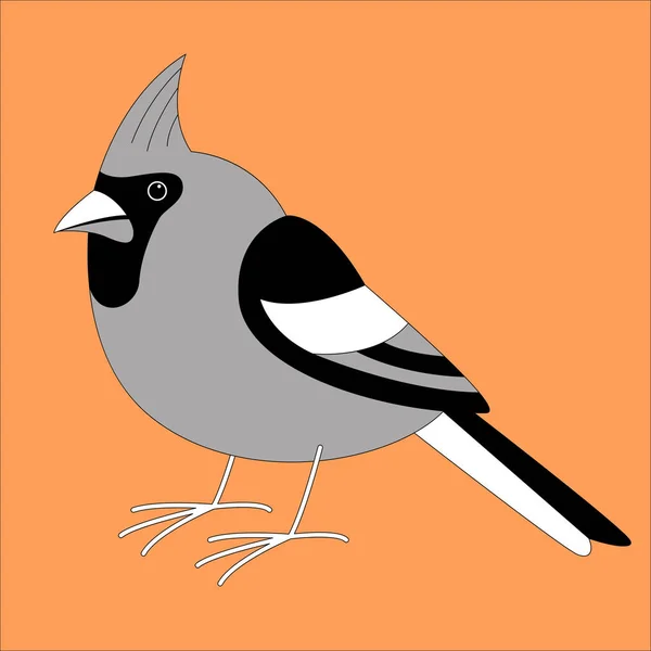 Kardinal kuşu, vektör çizim, çizim, profil astar — Stok Vektör